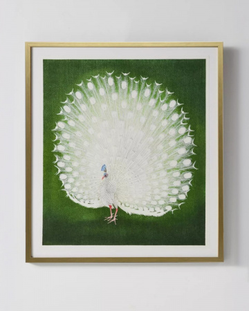 Интерьерный постер “White Peacock”