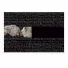 Фотография Poesia 180x120