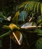 Настенный светильник ARACEA