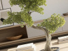 Bankan II bonsai 49cm набор из двух предметов