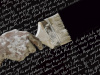 Фотография Poesia 180x120
