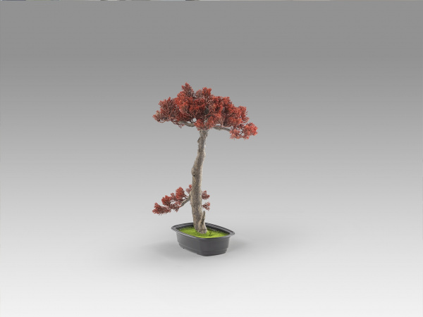 Bujin-hi bonsai 45cm набор из 2 предметов