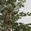 Искусственное растение FICUS