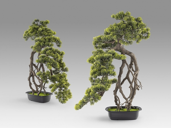 Kengai bonsai 74см Искусственное растение из 2 предметов