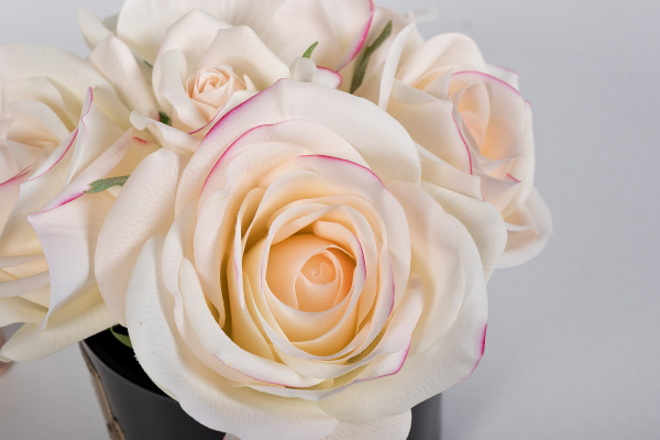 Диффузор Five Rose Pink, спрей Pink Peonies 10мл в уп.