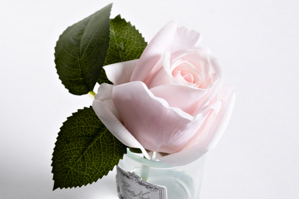 Диффуз.Rose Bud French Pink,спрей White Gardenia 5мл уп