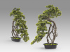 Kengai bonsai 74см Искусственное растение из 2 предметов