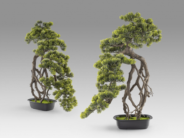 Kengai bonsai 74см Искусственное растение из 2 предметов