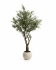 Искусственное дерево Artificial Olive в белом горшке, 210 см