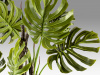 Monstera Искусственное растение H210