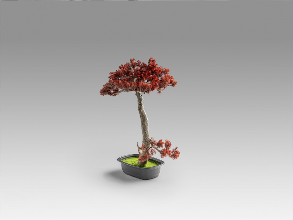 Bujin-hi bonsai 45cm набор из 2 предметов