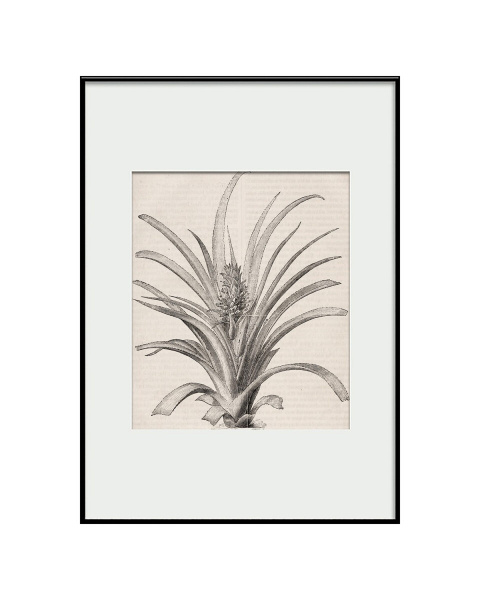 Интерьерное жикле “Pineapple”